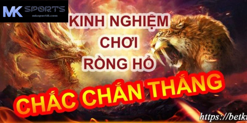 Chiến lược chơi rồng hổ chắc thắng cùng nhà cái MK sport